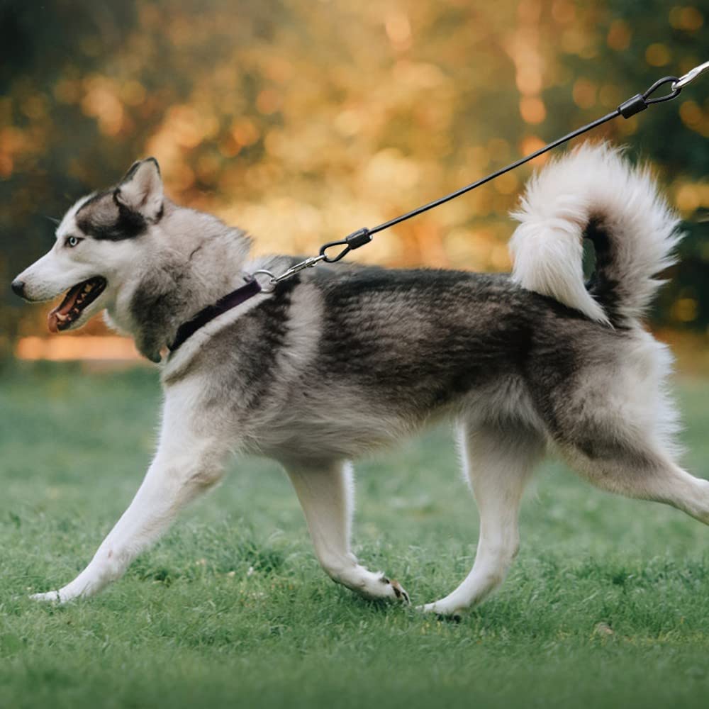 UFO Hunde Snor 360 ° Med Lys