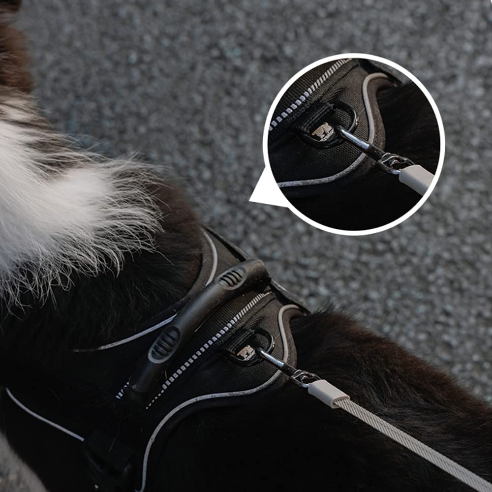 UFO Hunde Snor 360 ° Med Lys