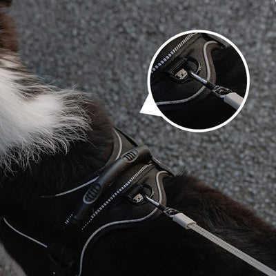 UFO Hunde Snor 360 ° Med Lys