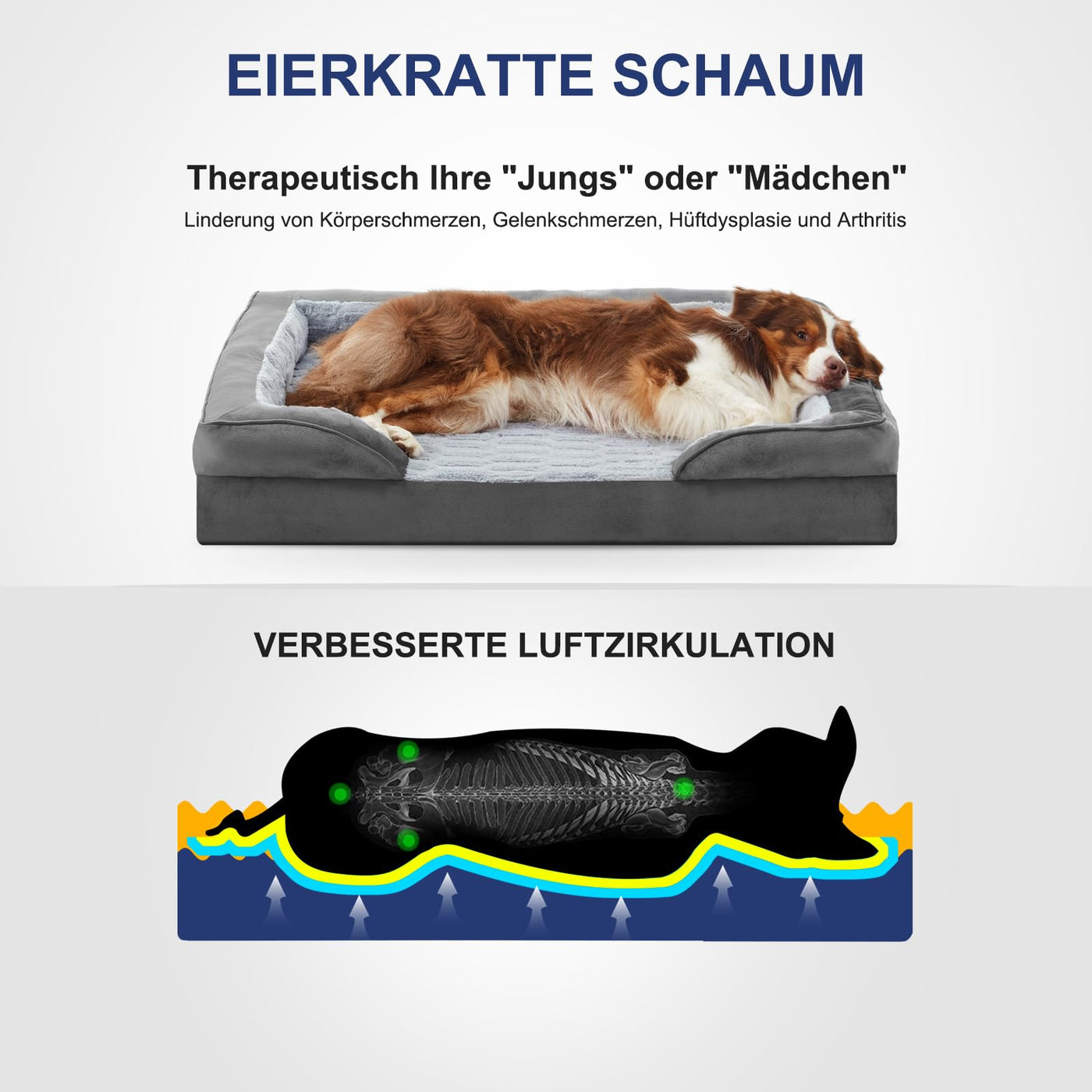 Pawk Orthopaedic Dog Bed memory foam